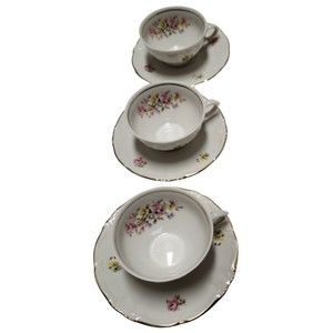 Winterling Coffee Cup & Saucer Floral Schwarzenbach Bavaria Germany